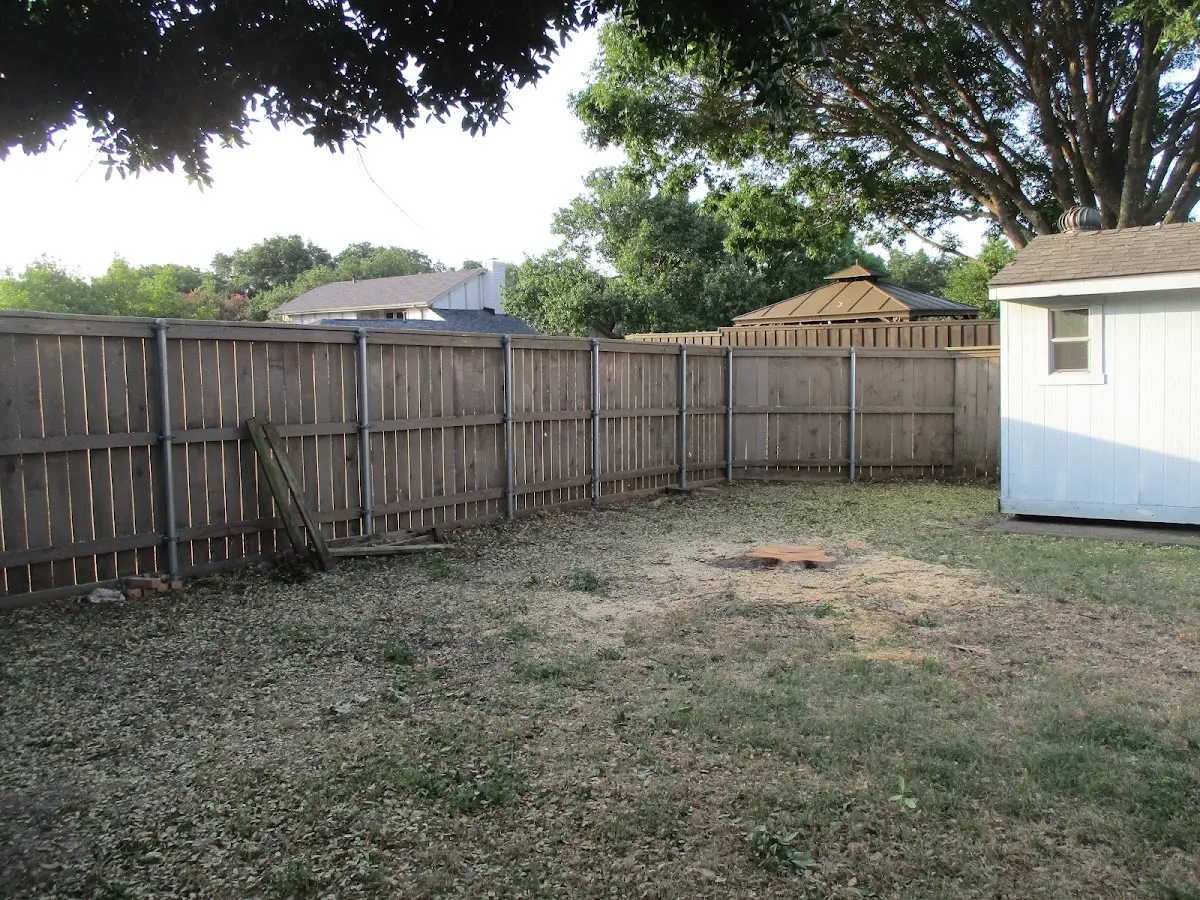 Cleared yard after professional tree removal in Randallstown
