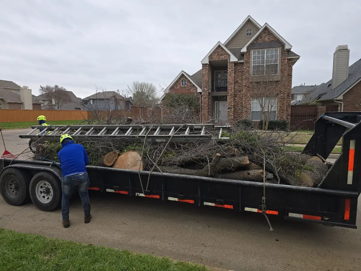 Expert Tree Fertilization with proper safety equipment in Randallstown